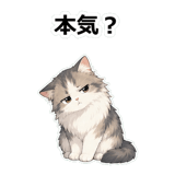 855489673