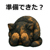 855489796