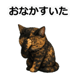 855489807