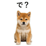 855489843