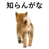 855489844