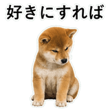 855489846