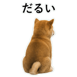855489850