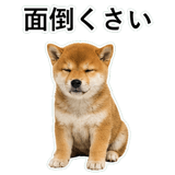 855489851