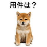 855489852
