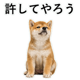 855489853