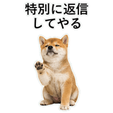 855489860