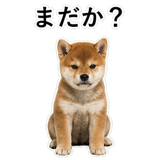 855489861