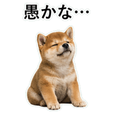 855489862