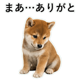 855489870