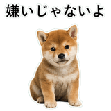 855489871