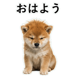 855489873
