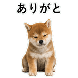 855489878