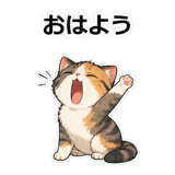 855489988