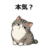 855490097