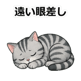 855490132