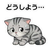 855490135