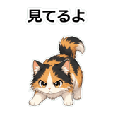 855490204