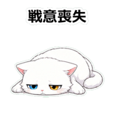 855490211