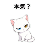 855490217
