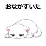 855490231