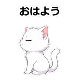 855490236