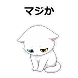 855490239