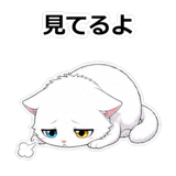 855490244