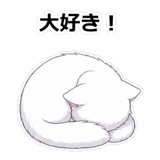 855490246