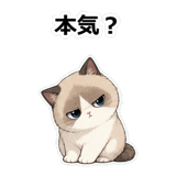 855490561