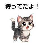 855490672
