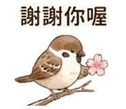 855499507