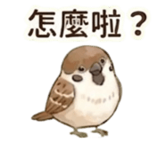 855499512