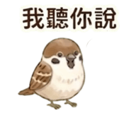 855499513