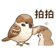 855499515