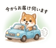 855500031