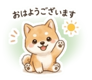 855500050