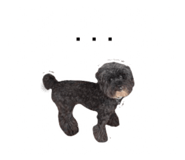 855500153