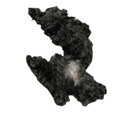 855500170