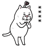 855500850