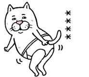 855500851