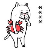 855500852