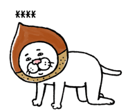 855500853