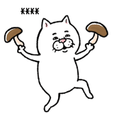 855500862