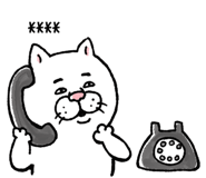 855500880