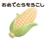 855500907