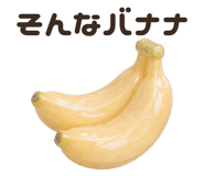 855500910