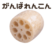 855500912