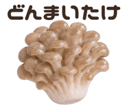 855500914