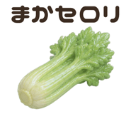 855500928